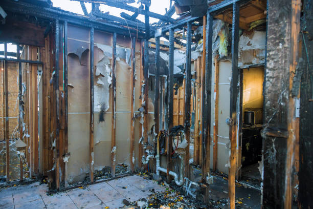 Professional Fire Damage Removal technician working in Bunnell, FL